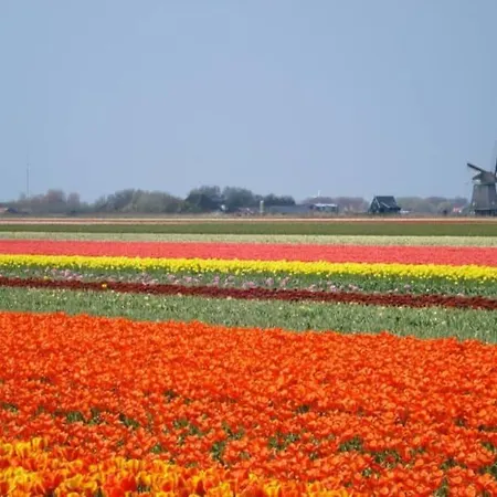 + Tiny House Nabij * Petten