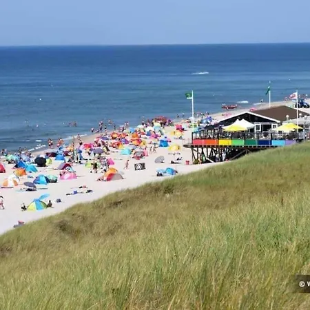 + Tiny House Nabij Petten